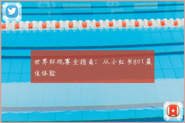 世界杯观赛全指南：从小红书get最佳体验