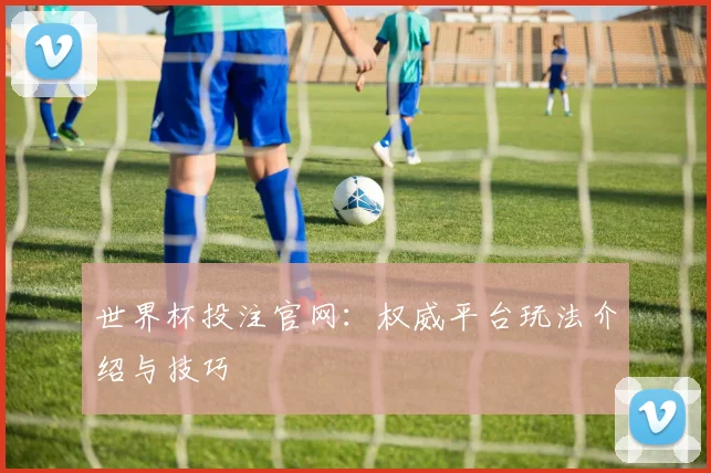 世界杯投注官网：权威平台玩法介绍与技巧