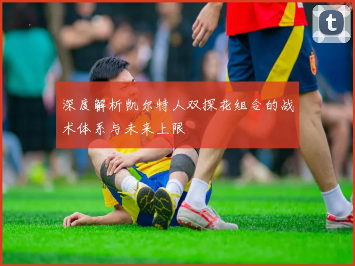 深度解析凯尔特人双探花组合的战术体系与未来上限