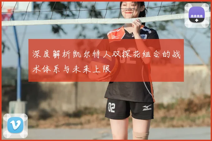深度解析凯尔特人双探花组合的战术体系与未来上限