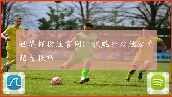 世界杯投注官网：权威平台玩法介绍与技巧
